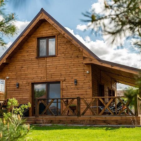Brzozowy Zakatek Vila Dziemiany Exterior foto